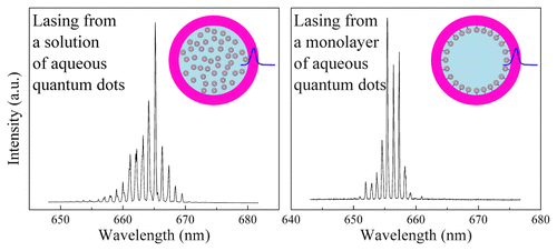 Optofluidic Lasers with Aqueous Quantum Dots
