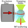 Observation of Whispering Gallery Modes in Elastic Light Scattering from Microdroplets Optically Trapped in a Microfluidic Channel